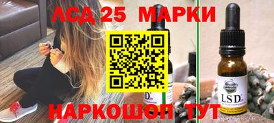гидропоника Дубна